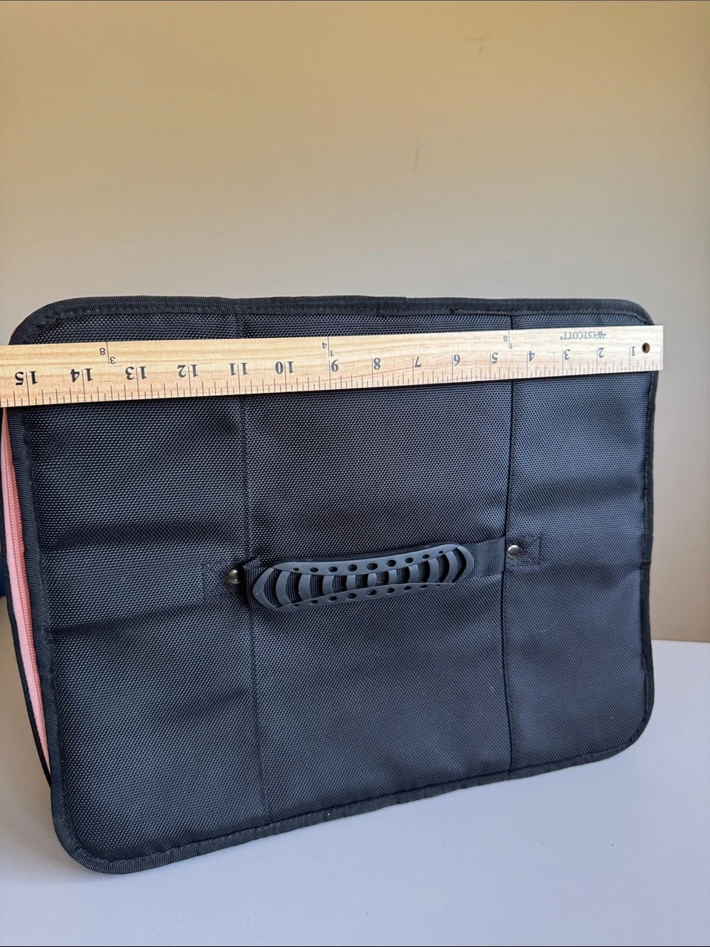 RARE Mary Kay Black & Pink Insulated Full Zip Carry Case *Empty*